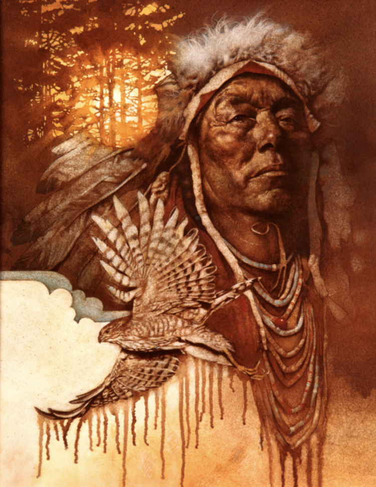 Sun Hawk