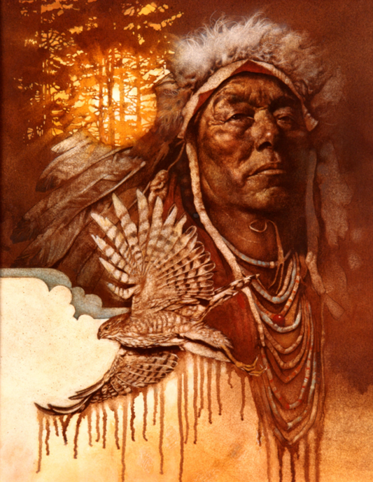 Sun Hawk