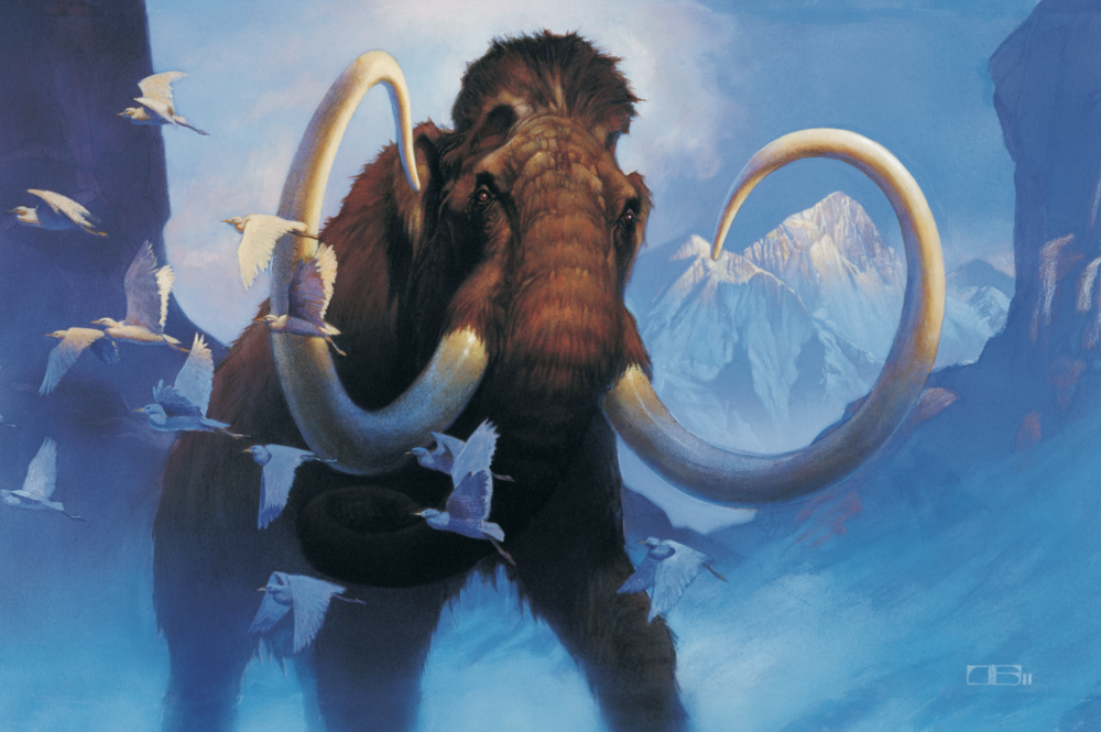 Wooly Mammoth by Thomas Blackshear II